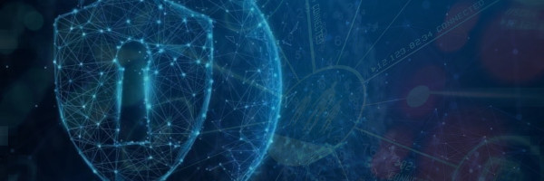 Cybersecurity and Privacy