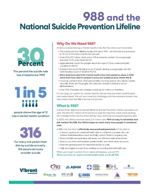 988 two pager 2021-2.pdf