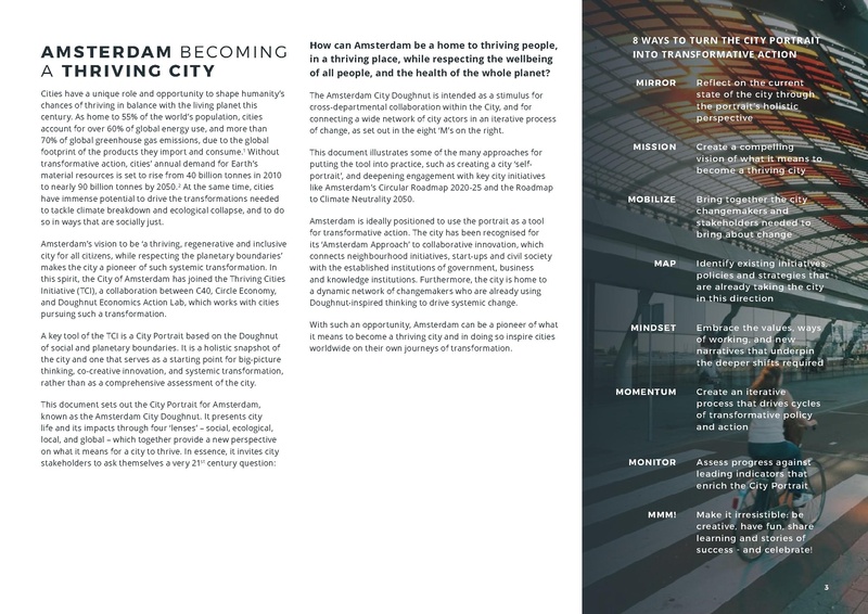 File:AMS-portrait.pdf