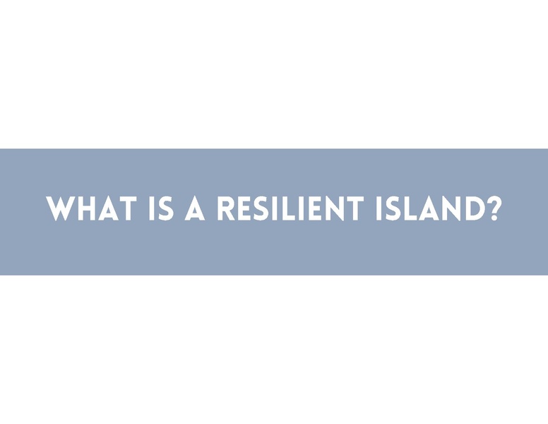 File:EbookEastPortlandResilientIslandVisionPlan.pdf