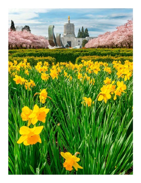 File:IP-Road Usage Evaluation Book WEB 4-26.pdf.pdf