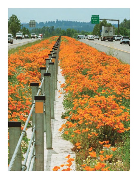 File:IP-Road Usage Evaluation Book WEB 4-26.pdf.pdf