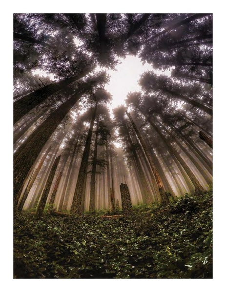 File:IP-Road Usage Evaluation Book WEB 4-26.pdf.pdf