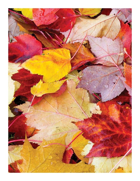 File:IP-Road Usage Evaluation Book WEB 4-26.pdf.pdf