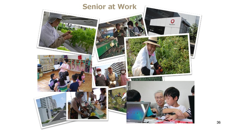 File:Kashiwa ElderCARE.pdf