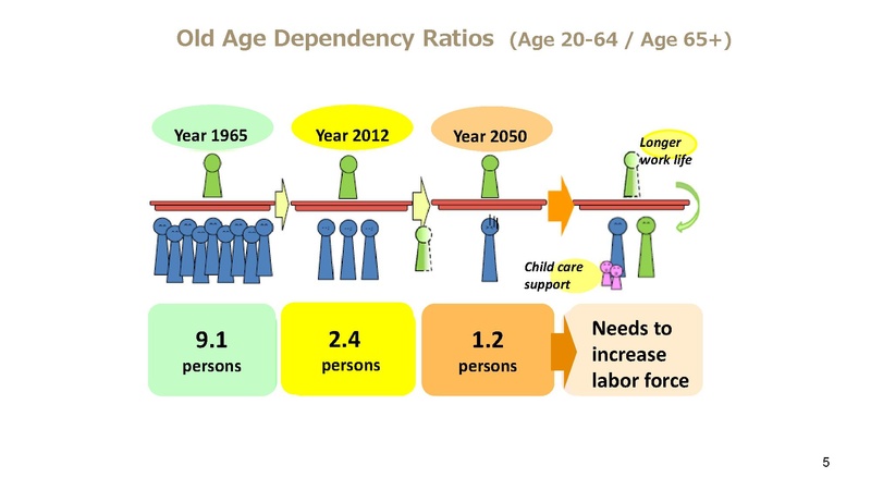 File:Kashiwa ElderCARE.pdf