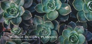 ForageDesign.png