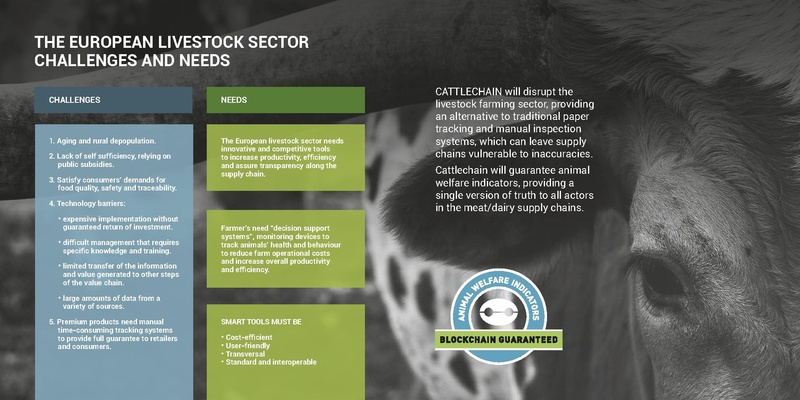 File:Brochure cattlechain v05-2.pdf