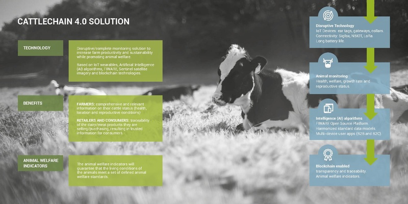 File:Brochure cattlechain v05-2.pdf
