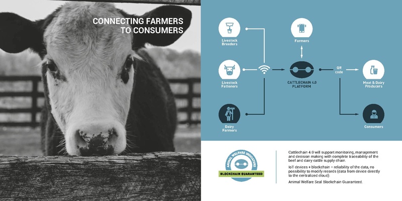 File:Brochure cattlechain v05-2.pdf