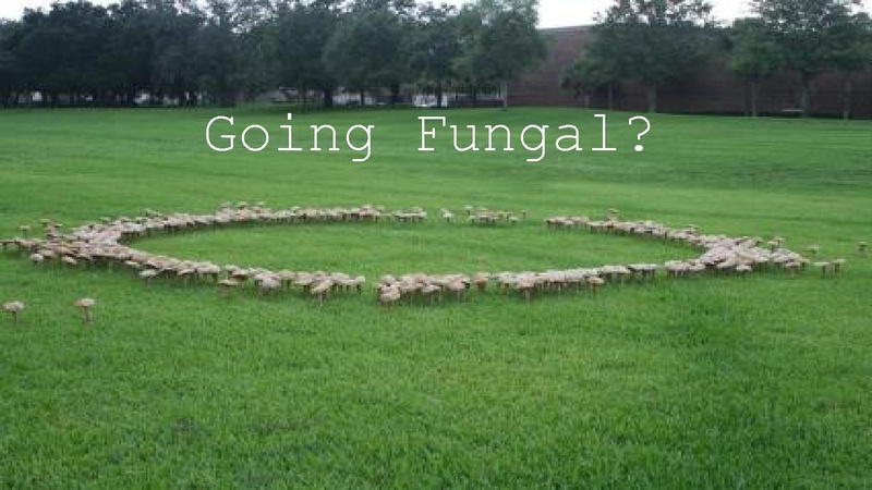 File:Hack Oregon Transportation Systems Data Presentation.pdf