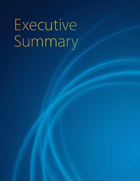 File:2019-NCSR-Summary-Report.pdf